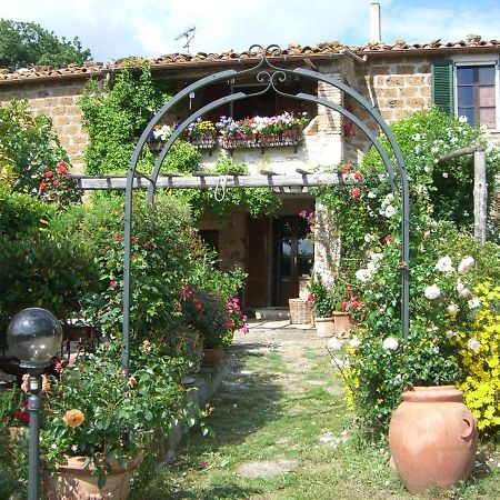 Le Querciolaie Monte Cavallo - Upper Apartment Saturnia Buitenkant foto