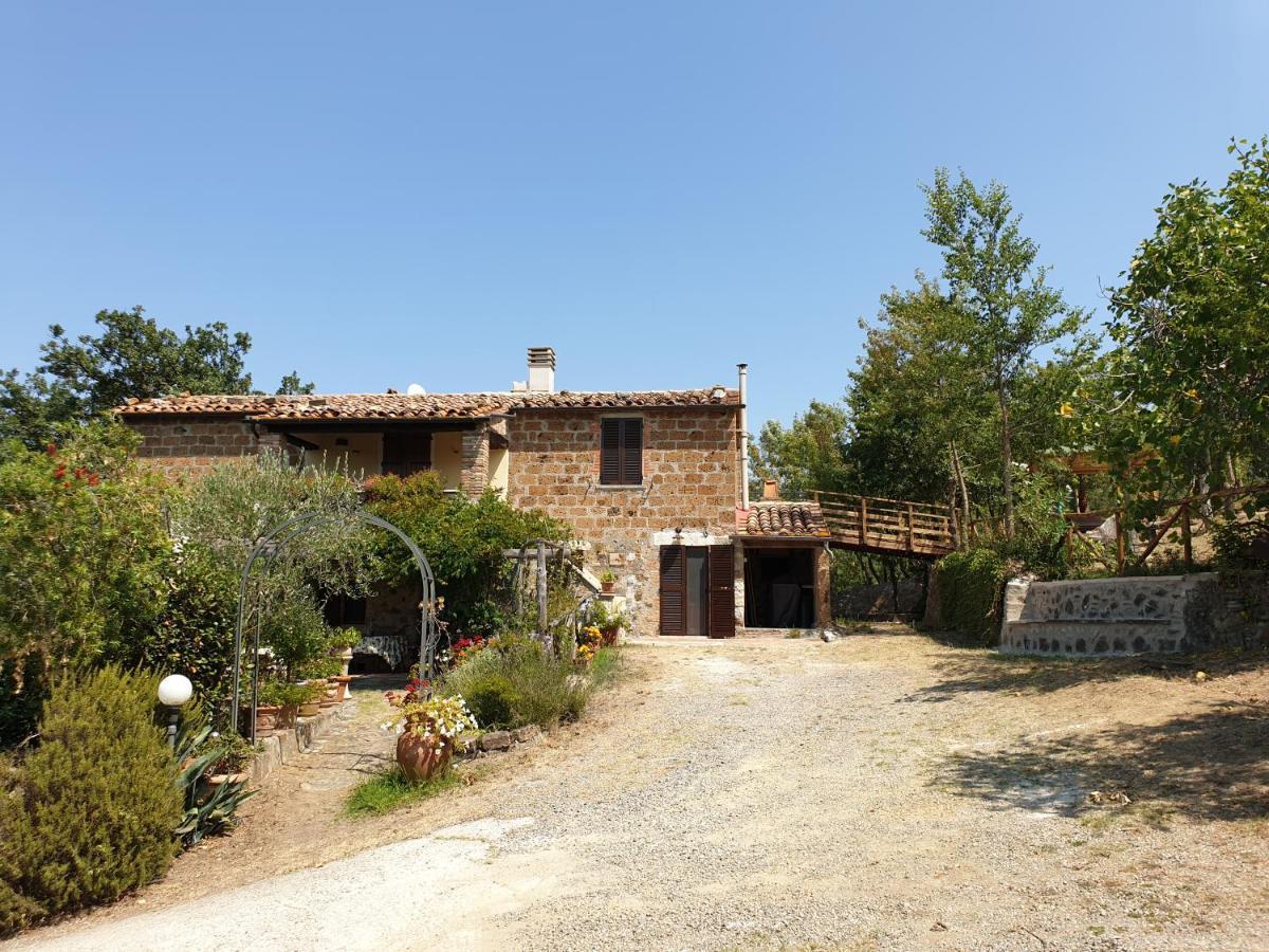 Le Querciolaie Monte Cavallo - Upper Apartment Saturnia Buitenkant foto